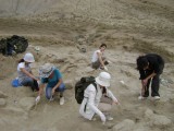 Archaeological excavations