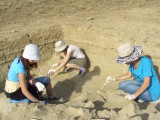 Archaeological excavations