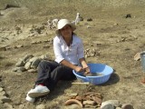 Cleaning excavated